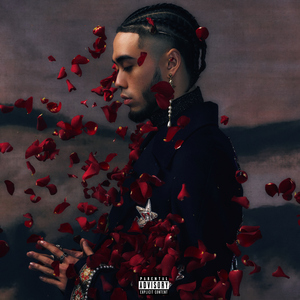 孟若羽与黑人演的叫什么
