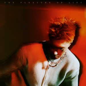 孟若羽与黑人演的叫什么
