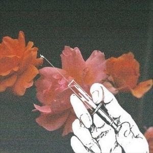 孟若羽与黑人演的叫什么
