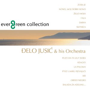 孟若羽与黑人演的叫什么
