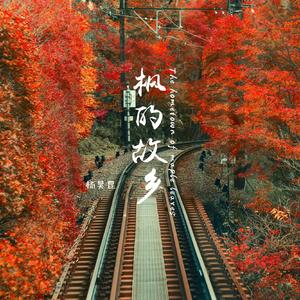 孟若羽与黑人演的叫什么
