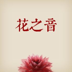 孟若羽与黑人演的叫什么
