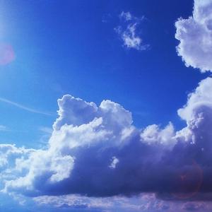 孟若羽与黑人演的叫什么
