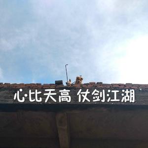 孟若羽与黑人演的叫什么
